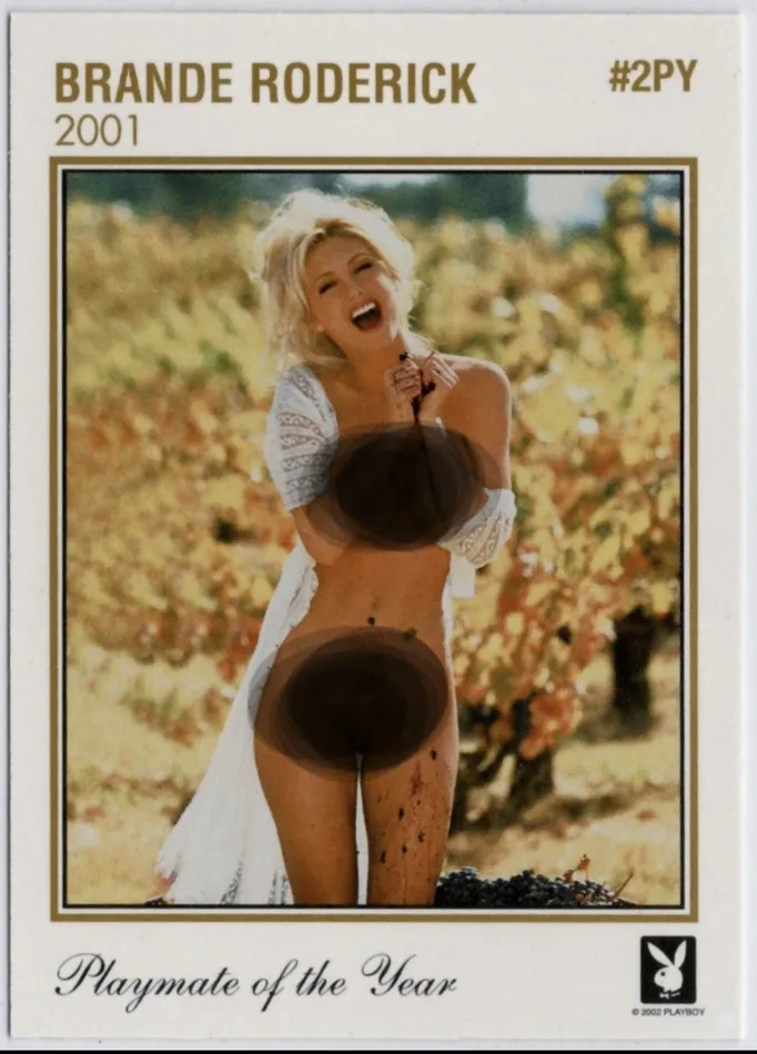 2002 Playboy Celebrity Brande Roderick Insert Card 2PY KeatonsKollectibles Vibrators 2002 Playboy Celebrity Brande Roderick Insert Card 2PY KeatonsKollectibles Vibrators