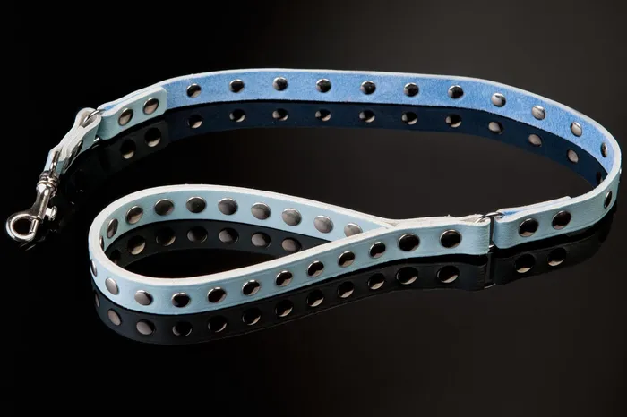 Deluxe Leather Studded Bdsm Lead DISCONTINUED Sh Womens Store Vibrators