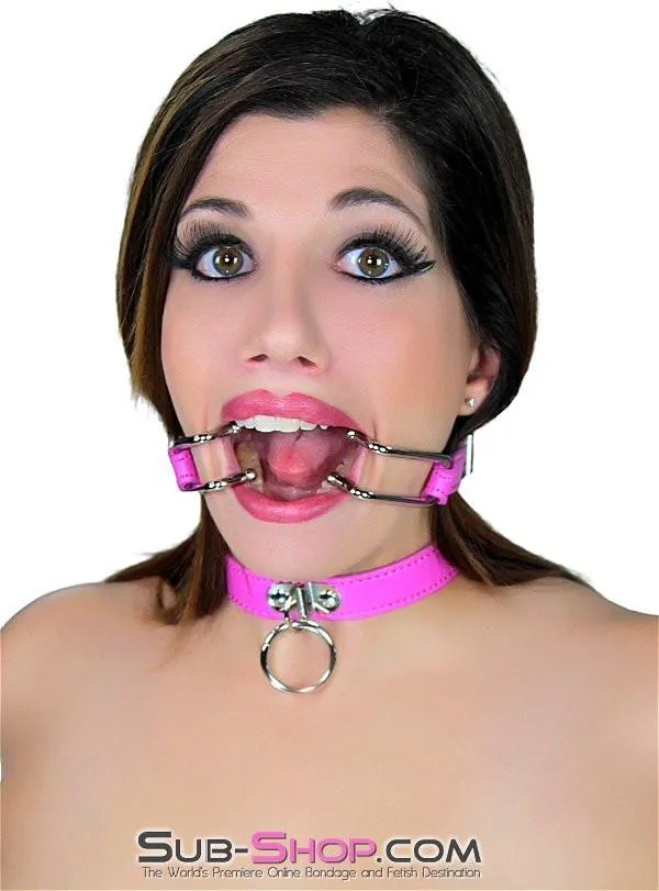 Raysent Couples 5751RS Hot Under the Collar Dainty Ring Bondage Collar